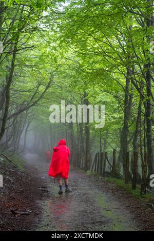 Pilgrim walking over the Pyrenees from St Jean Pied de Port  France in wet and foggy weather on the first stage of the Camino de Santiago Stock Photo