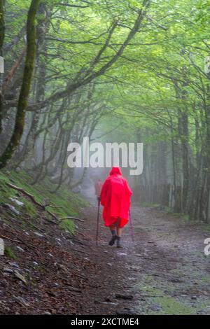 Pilgrim walking over the Pyrenees from St Jean Pied de Port  France in wet and foggy weather on the first stage of the Camino de Santiago Stock Photo