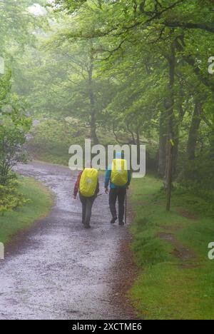 Pilgrim walking over the Pyrenees from St Jean Pied de Port  France in wet and foggy weather on the first stage of the Camino de Santiago Stock Photo