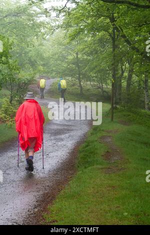 Pilgrim walking over the Pyrenees from St Jean Pied de Port  France in wet and foggy weather on the first stage of the Camino de Santiago Stock Photo