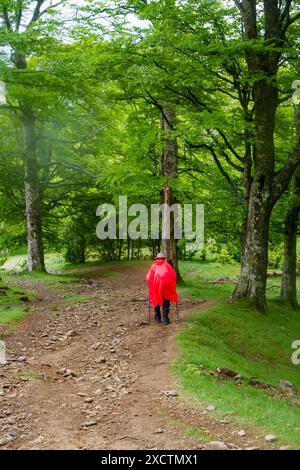 Pilgrim walking over the Pyrenees from St Jean Pied de Port  France in wet and foggy weather on the first stage of the Camino de Santiago Stock Photo