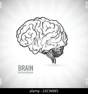 Hand draw human brain sketch background Stock Vector