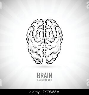 Hand draw brain sketch background Stock Vector