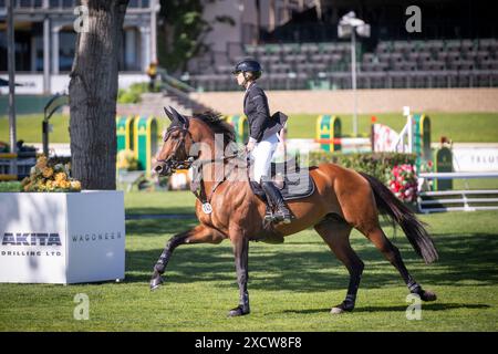 Top level equestrian sport at Spruce Meadows in Calgary Stock Photo