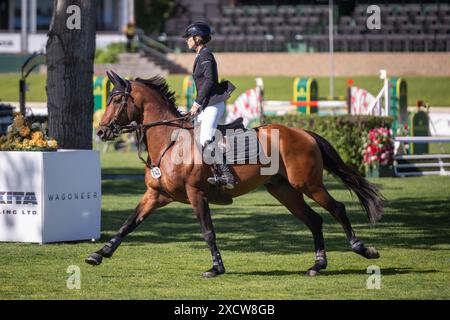 Top level equestrian sport at Spruce Meadows in Calgary Stock Photo