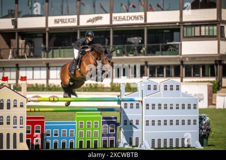 Top level equestrian sport at Spruce Meadows in Calgary Stock Photo
