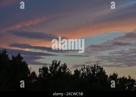 Orange, gray, white, black dramatic clouds with tree line silhouette. Stock Photo