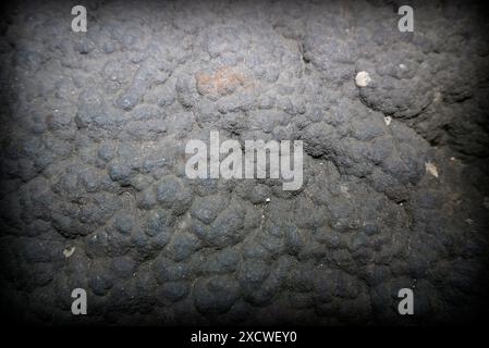 Surface of a ferromanganese crust sample collected from Necker Ridge, North Pacific Ocean at a depth of 1,896 metres. Ferromanganese crusts are formations of rock containing iron and manganese which are gradually deposited by sea water. This crust is estimated to have grown just 2 millimetres every million years. Stock Photo