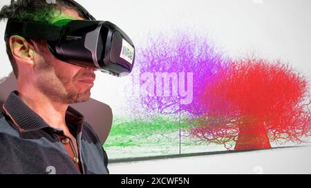 Scientist using a VR (virtual reality) headset to observe data in a study on the ways trees adapt to repeated wind exposure. Some plants sense wind and can respond to high levels of wind by growing to be shorter and stockier. This provides stability in more windy and storm-prone areas. Stock Photo