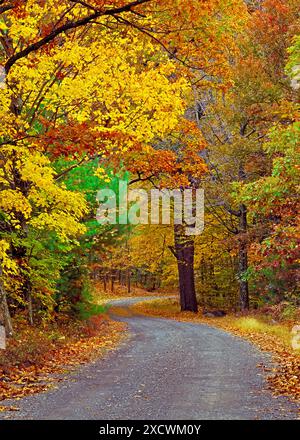 Road in Autumn, Delaware Water Gap National Recreation Area, Pennsylvania Stock Photo