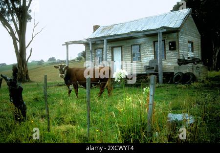 Old farmhouse, Tasmania, Australia Stock Photo