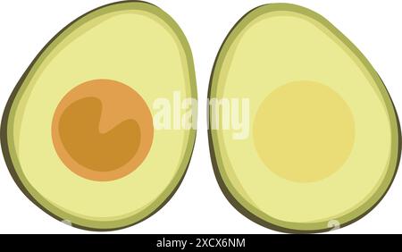 Halved avocado showcasing freshness and vibrancy in every slice, perfect for highlighting healthy eating, vibrant food presentation. Stock Vector