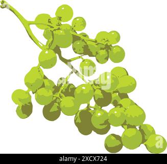 An illustration of a bunch of grapes, capturing their rich texture and vibrant color, ideal for showcasing fresh fruit in artistic Stock Vector