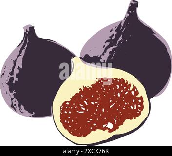 An illustration of figs highlighting their rich purple skin and unique, bulbous shape, with one fig halved Stock Vector