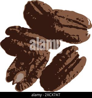 An illustration of a pecan nut, highlighting its distinctive shape and texture, perfect for representing nuts in culinary Stock Vector