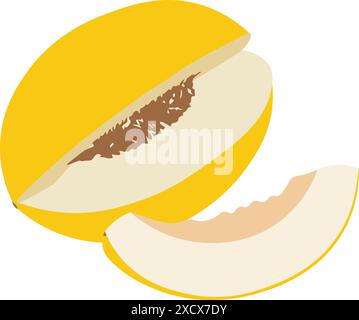 A vibrant image of sliced yellow melon, showcasing its bright flesh and visible seeds, highlighting the fruit’s refreshing texture and natural beauty Stock Vector