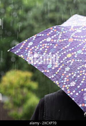 Rear close up view of a person with a brolly in the rain with obvious rain falling. Stock Photo