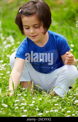 Little girl picking flowers in grass Stock Photo