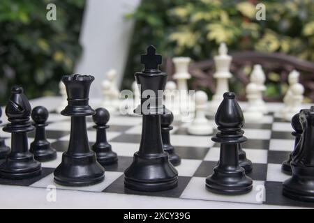 Opening move on open air chessboard white pawn in background focus on black bishop queen and king foliage in background Stock Photo