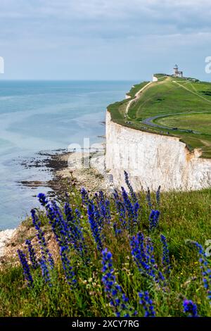 Belle Tout Lighthouse at Beachy Head near Eastbourne, East Sussex, England Stock Photo