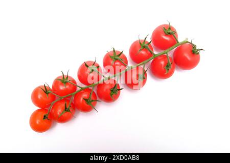 small red vine grown tomatoes on white background Stock Photo