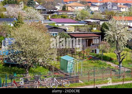 Many traditional german small garden allotment area with huts, tree flower vegetable growing at warm sunny summer day. Schrebergarten typical Stock Photo