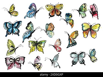 Hand draw collection of pretty colorful butterflies watercolor design Stock Vector