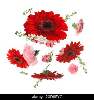 Red gerberas and other beautiful flowers in air on white background Stock Photo