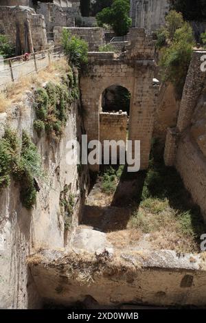 Left plastered wall of the Bethesda Pool with Hyssop on it where Jesus Christ healed a handicapped man & ruins of a Byzantine church, Jerusalem Israel Stock Photo