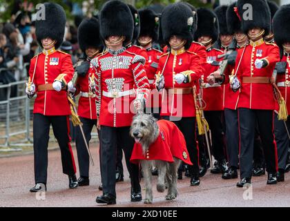 London 15th Jun 2024 Trooping the Colour. The mascot of the Irish ...