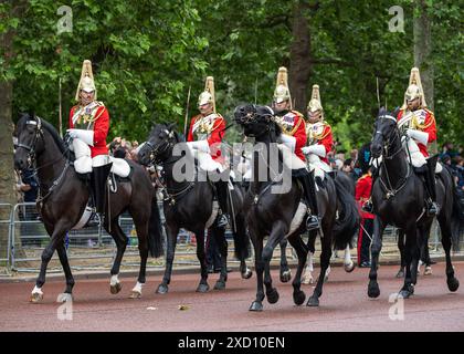 London 15th Jun 2024 Trooping the Colour. The mascot of the Irish ...