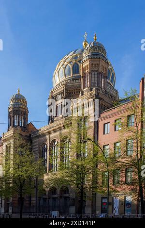 Berlin, Germany - 02 April 2024,  The New Synagogue on Oranienburger Straße in Berlin is a mid-19th century synagogue built as the main place of worsh Stock Photo