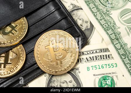 Bitcoin cryptocurrency gold coins in black wallet on US dollars. Stock Photo