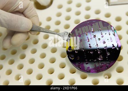 Silicon wafer, curing of PDMS microfluidic devices for manufacture ...