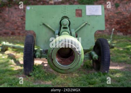 Looking down the barrel of a Soviet Zis 3, divisional gun from World ...