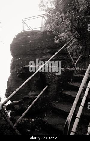 Steps hewn from rock, trees, metal tube and mesh railings frame a section of the Giant Stairway track opposite the Tree Sisters, shrouded in heavy fog Stock Photo