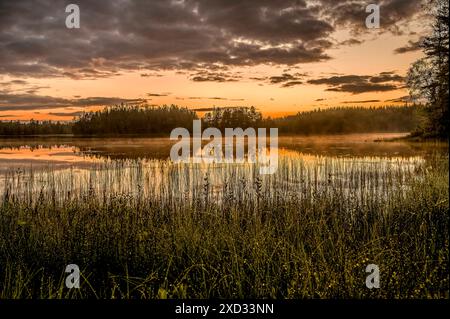 droplets of dew on the grass in the foreground at surise over the scandinavian lake, Sweden, June 15, 2024 Stock Photo