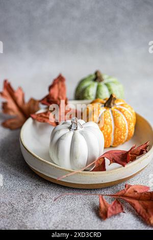 A serene autumn-themed arrangement featuring a variety of colorful pumpkins and dried maple leaves in a textured ceramic bowl on a textured grey backd Stock Photo