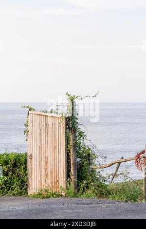 A rustic wooden door framed by green foliage opens to a serene summer coastal landscape, capturing the essence of peaceful seaside living Stock Photo