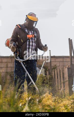 A man equipped with a protective face shield and earmuffs uses a powerful weed trimmer to maintain a garden, sending debris flying around, with a clea Stock Photo