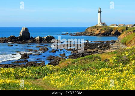 geography / travel, USA, California, Pescadero, Pigeon Point lighthouse, Pescadoro, highway 1, ADDITIONAL-RIGHTS-CLEARANCE-INFO-NOT-AVAILABLE Stock Photo