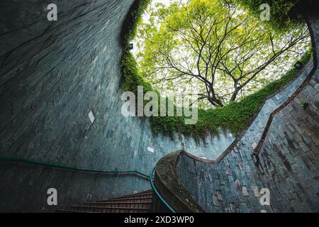 Empty spiral staircase of underground walkway. View of green tree in Fort Canning Park in Singapore. Stock Photo