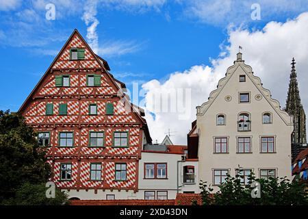 Old half-timbered house painted with red and white diamonds, Ulm Minster in the background on the right. View from the city wall. At the street “Unter Stock Photo