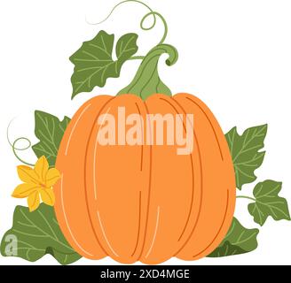 Pumpkin leaf, flower and vines plant. Hand drawn trendy flat style ...