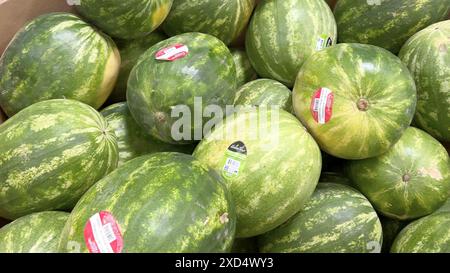 Fresh Watermelons on Display at Sams Club Stock Photo - Alamy
