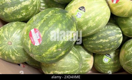 Fresh Watermelons on Display at Sams Club Stock Photo - Alamy