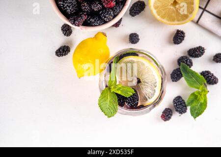 Mulberry lemonade or mojito cocktail, cold iced refreshing summer drink with lemon, mint and a lot of fresh mulberry  berries Stock Photo