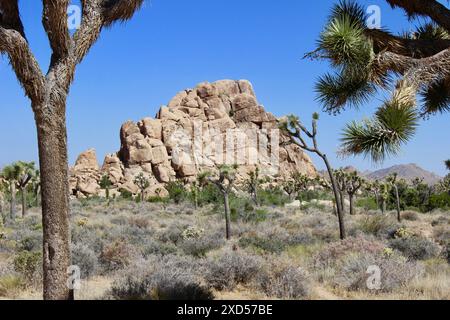 Rock formation, Joshua Tree National Park, California Stock Photo