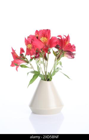 Beautiful alstroemeria flowers in vase isolated on white Stock Photo