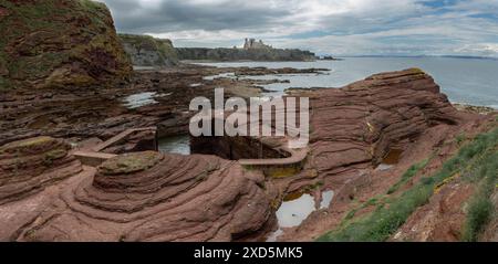 View of Seacliff Harbour, carved in the rock of the cliffs near North Berwick, Scotland, with Tantallon Castle in background Stock Photo